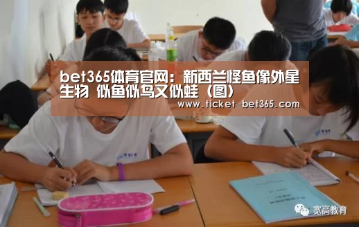 bet365体育官网