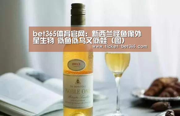 bet365体育投注
